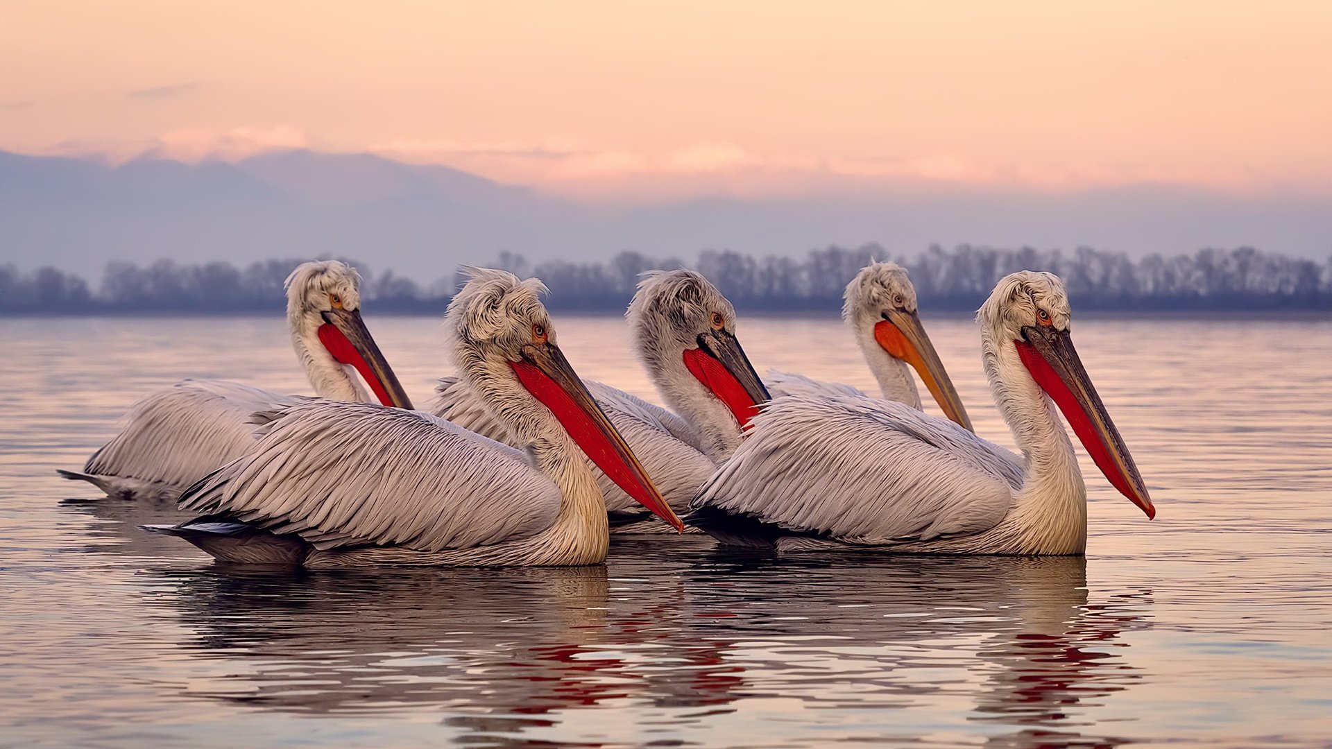 fb体育网站-电竞游戏公平竞技环境构建及技术手段应用分析，电子竞技环境