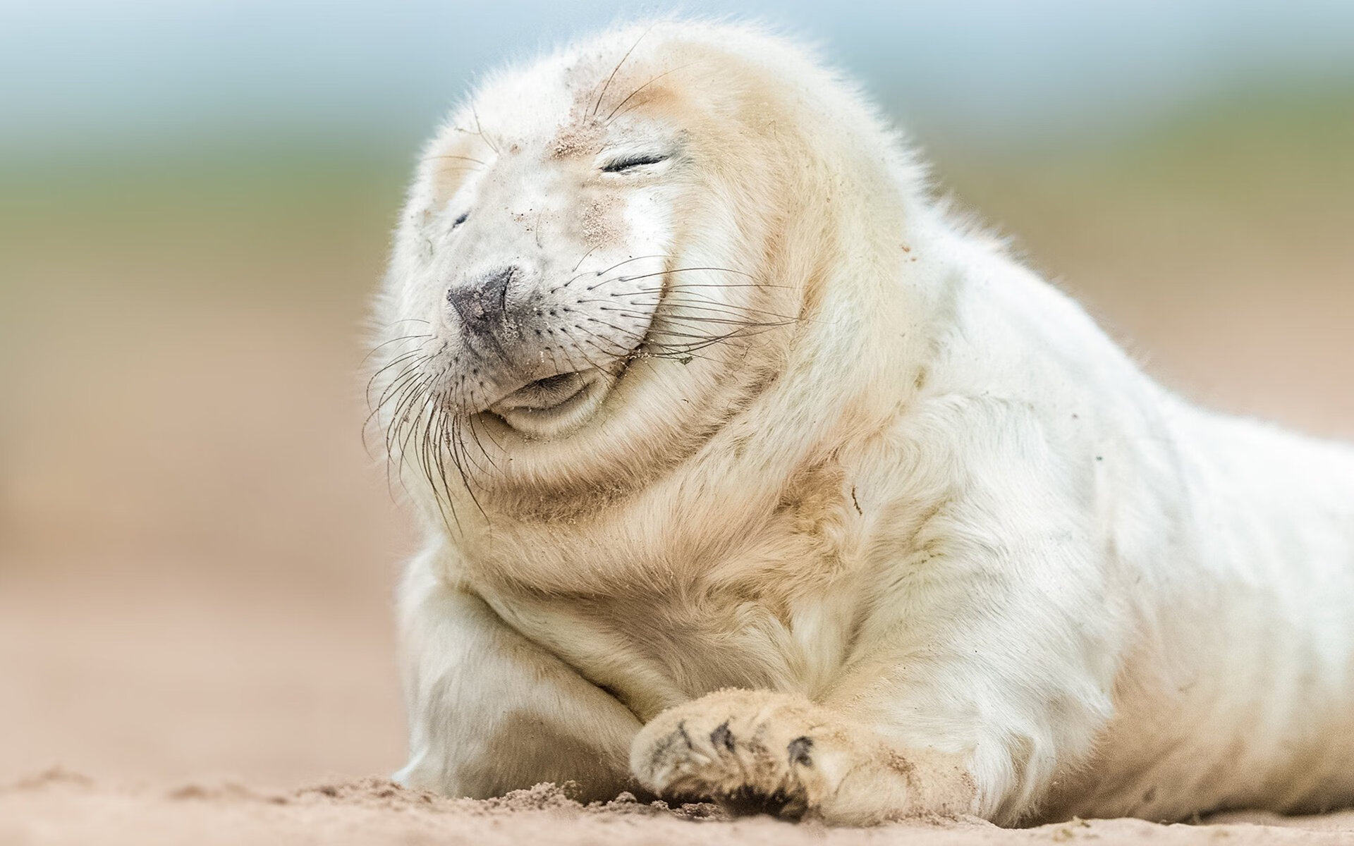 fb体育试玩-“高新区全民健身馆：短柄墙球，不只是一场比赛，而是脑力与体力的双重考验！”