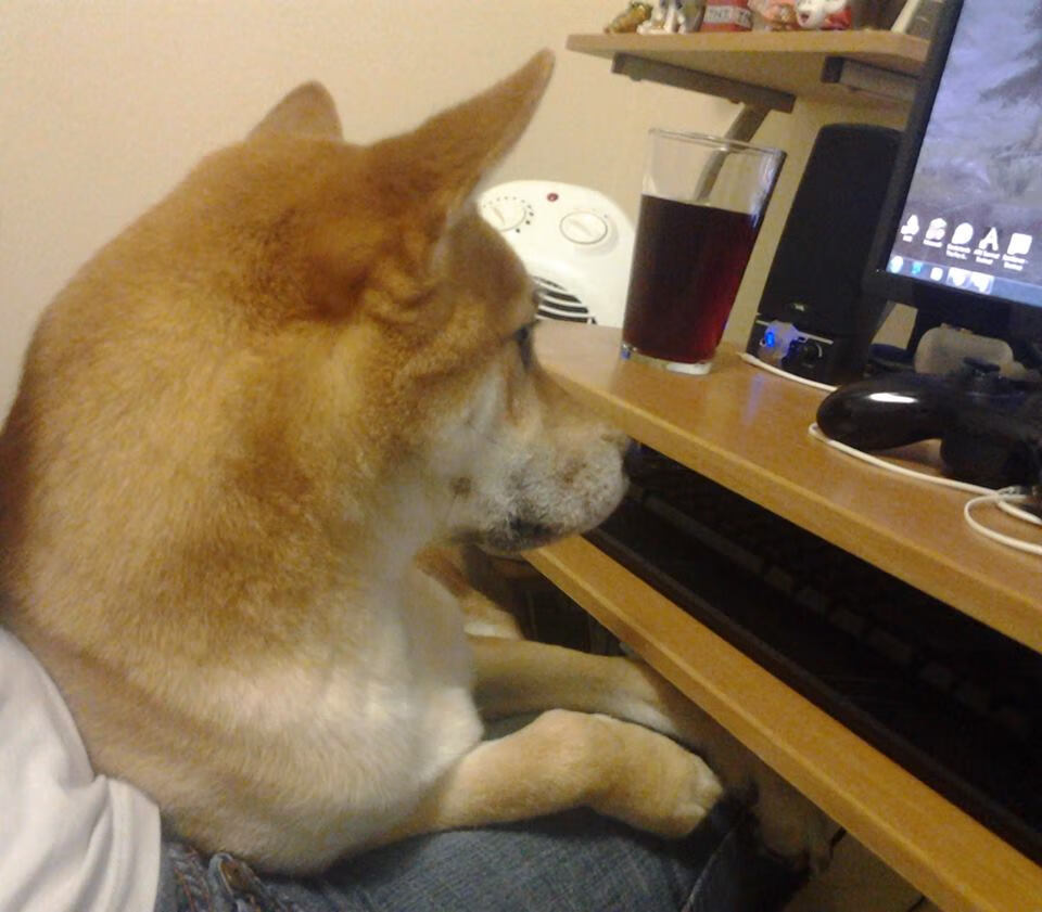 fb体育首页-世界杯最精彩瞬间：让人瞬间心动的高光时刻，世界杯名场面