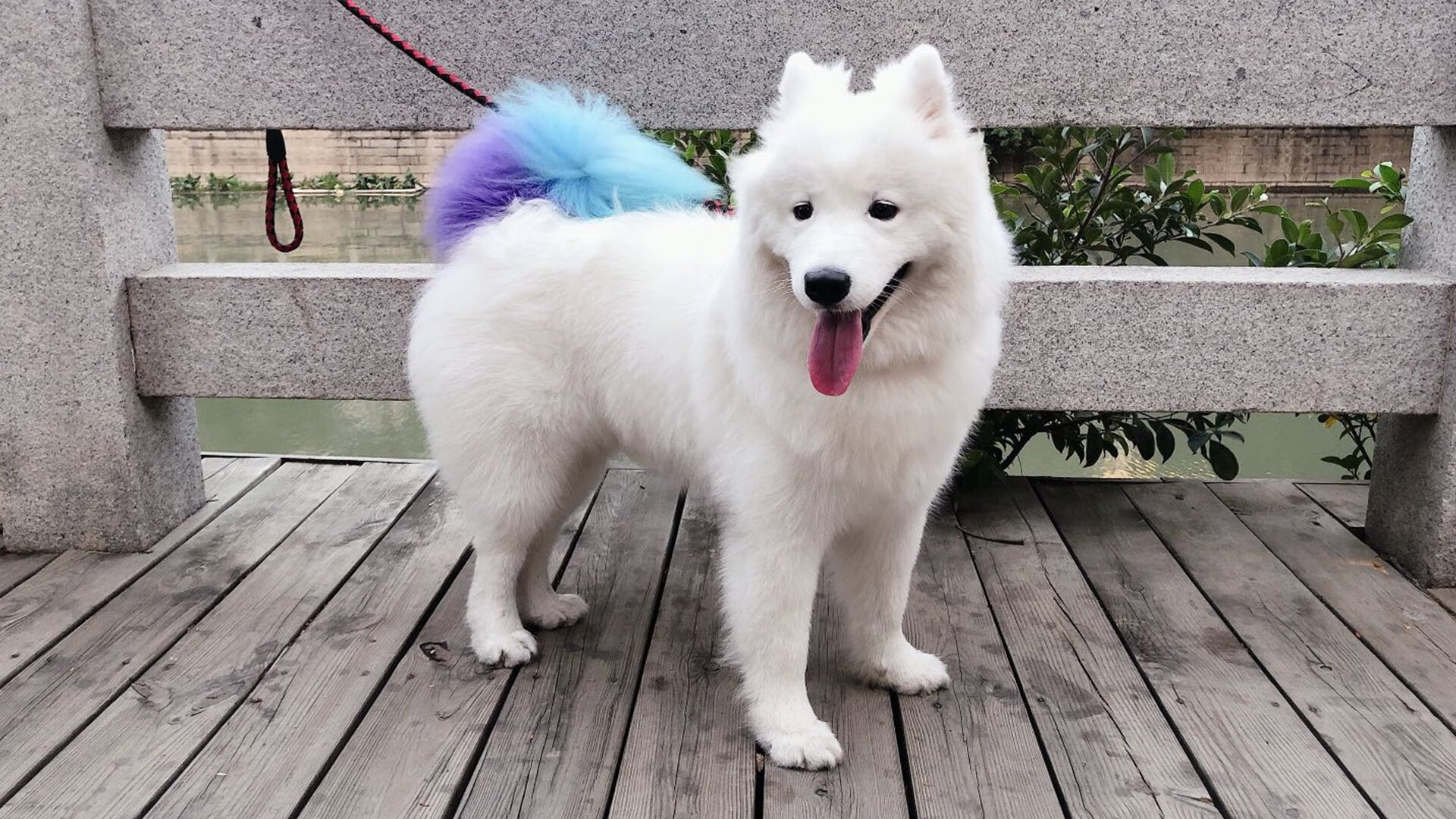 fb体育平台-塔图姆打破得分荒连续三场三十分以上，塔图姆总得分