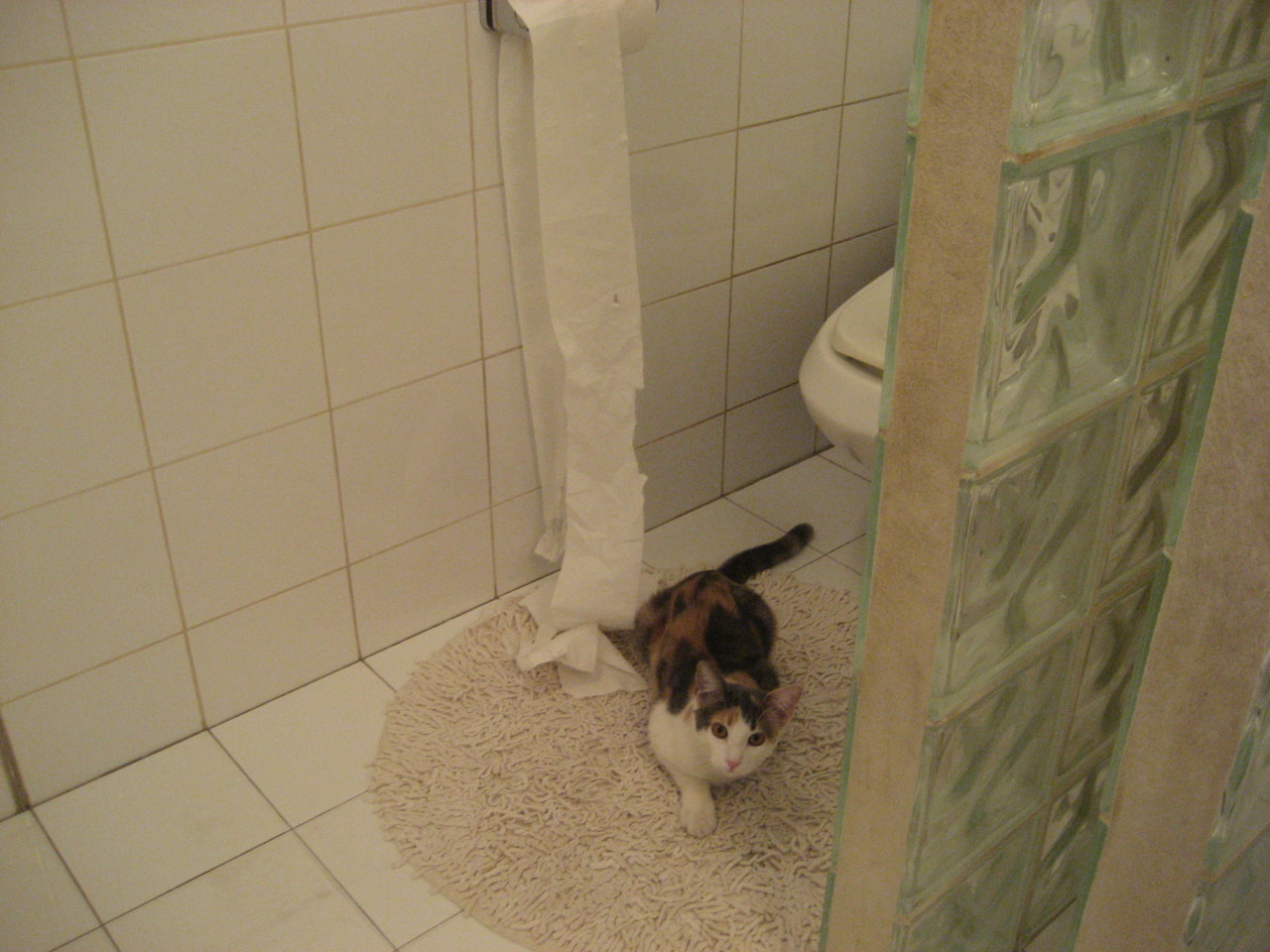 英超球队的多元化管理策略,英超球队规则