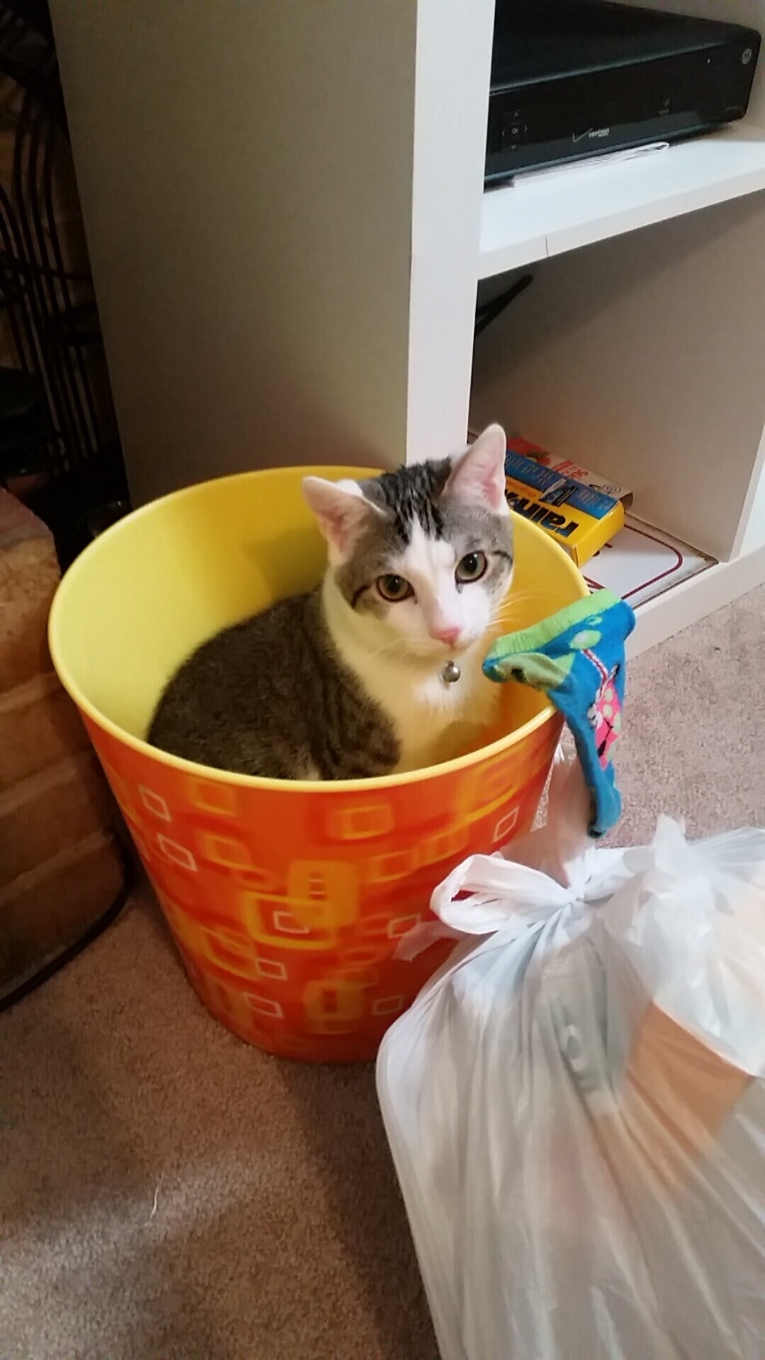 fb体育网站-荷兰混合泳团队战术成熟，荷兰沙滩游泳视频