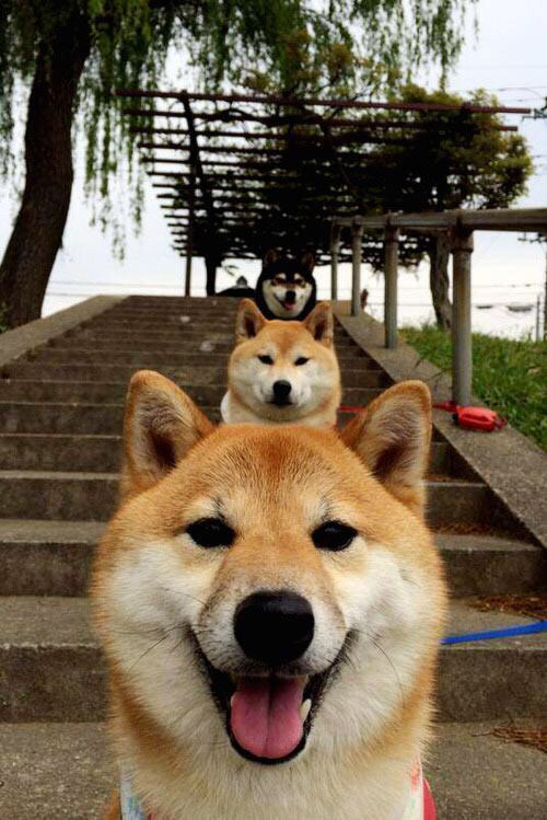 fb体育下载-骑士防守强化赛季目标明晰，骑士防守悍将